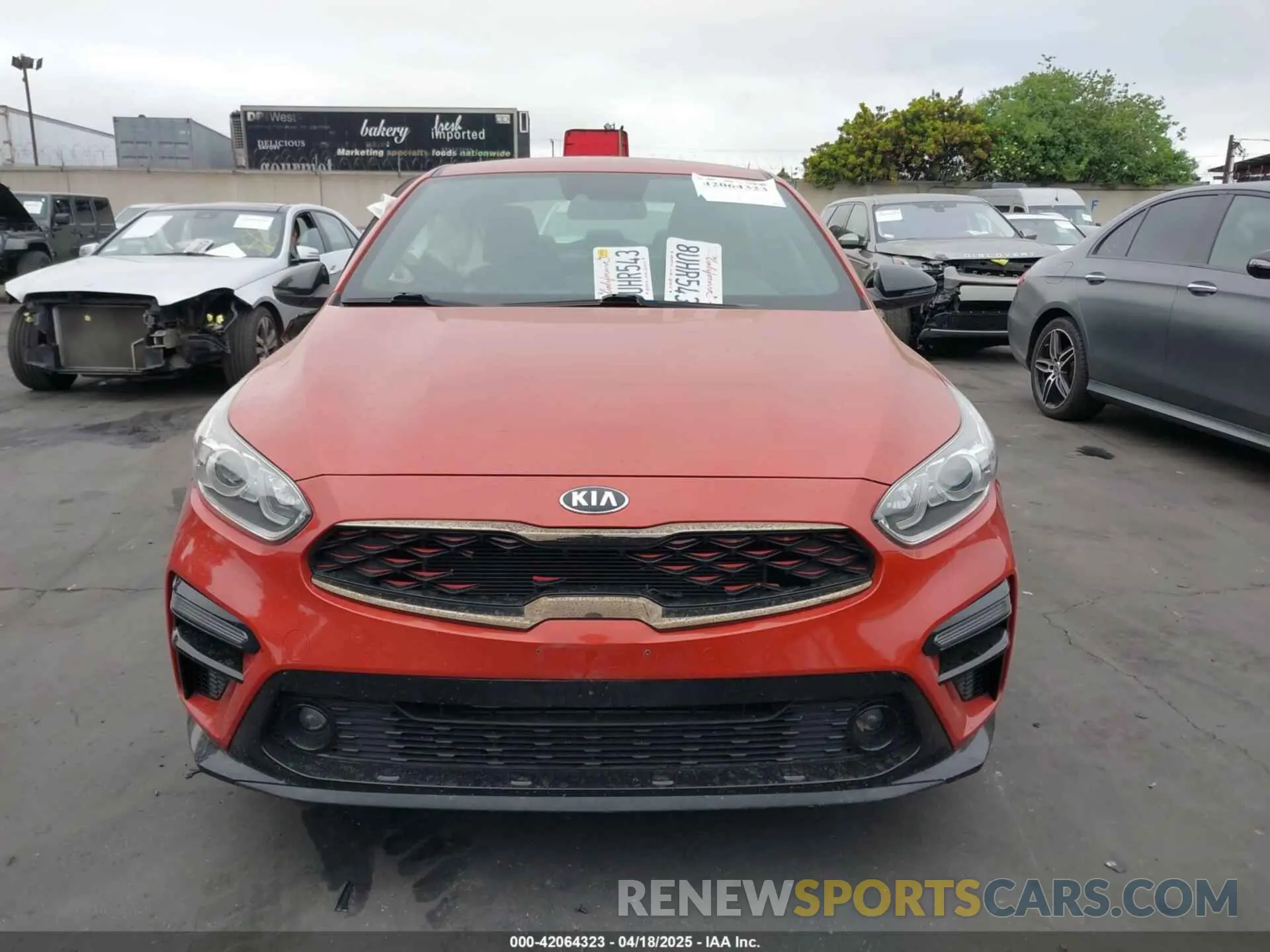 12 Photograph of a damaged car 3KPF34AD5ME292378 KIA FORTE 2021