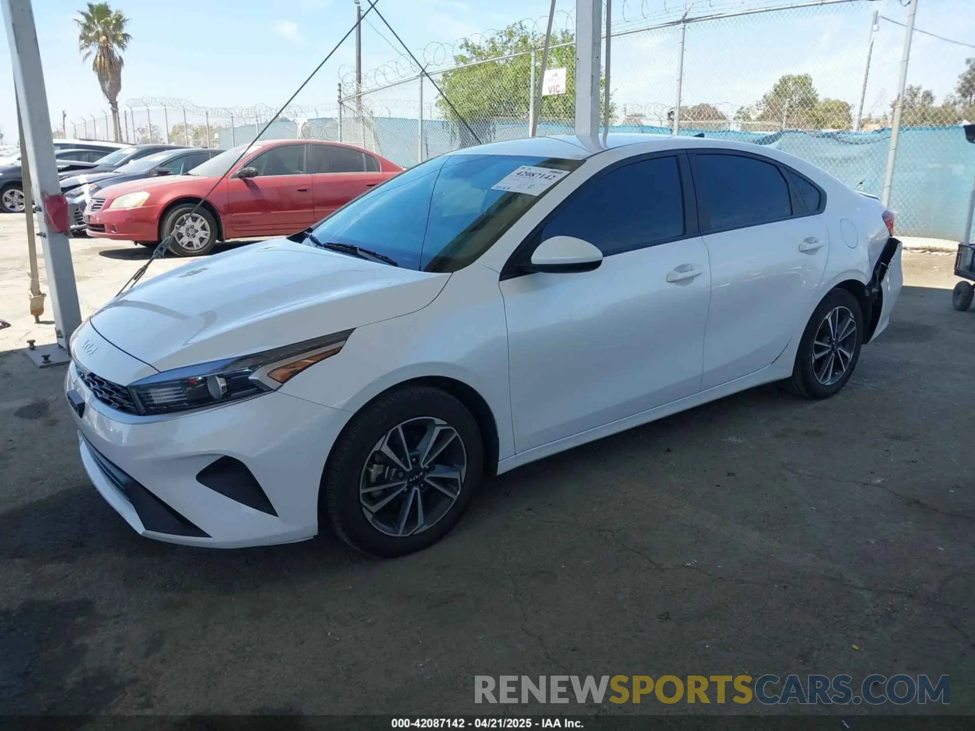 14 Photograph of a damaged car 3KPF24AD1PE559880 KIA FORTE 2023