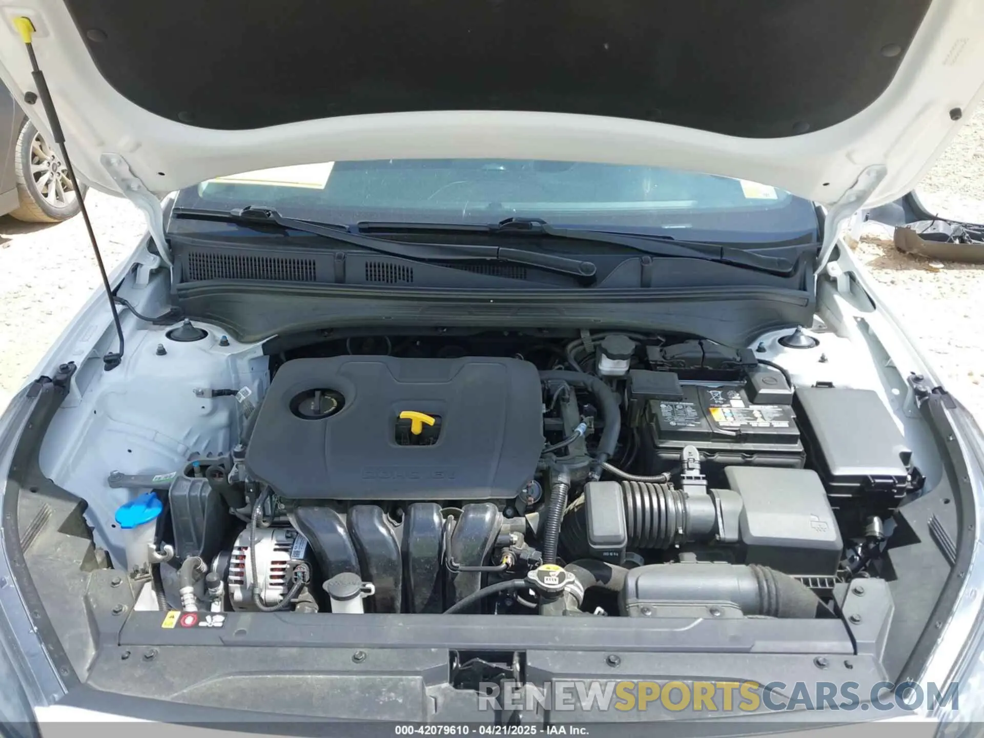 10 Photograph of a damaged car 3KPF24AD8PE660592 KIA FORTE 2023