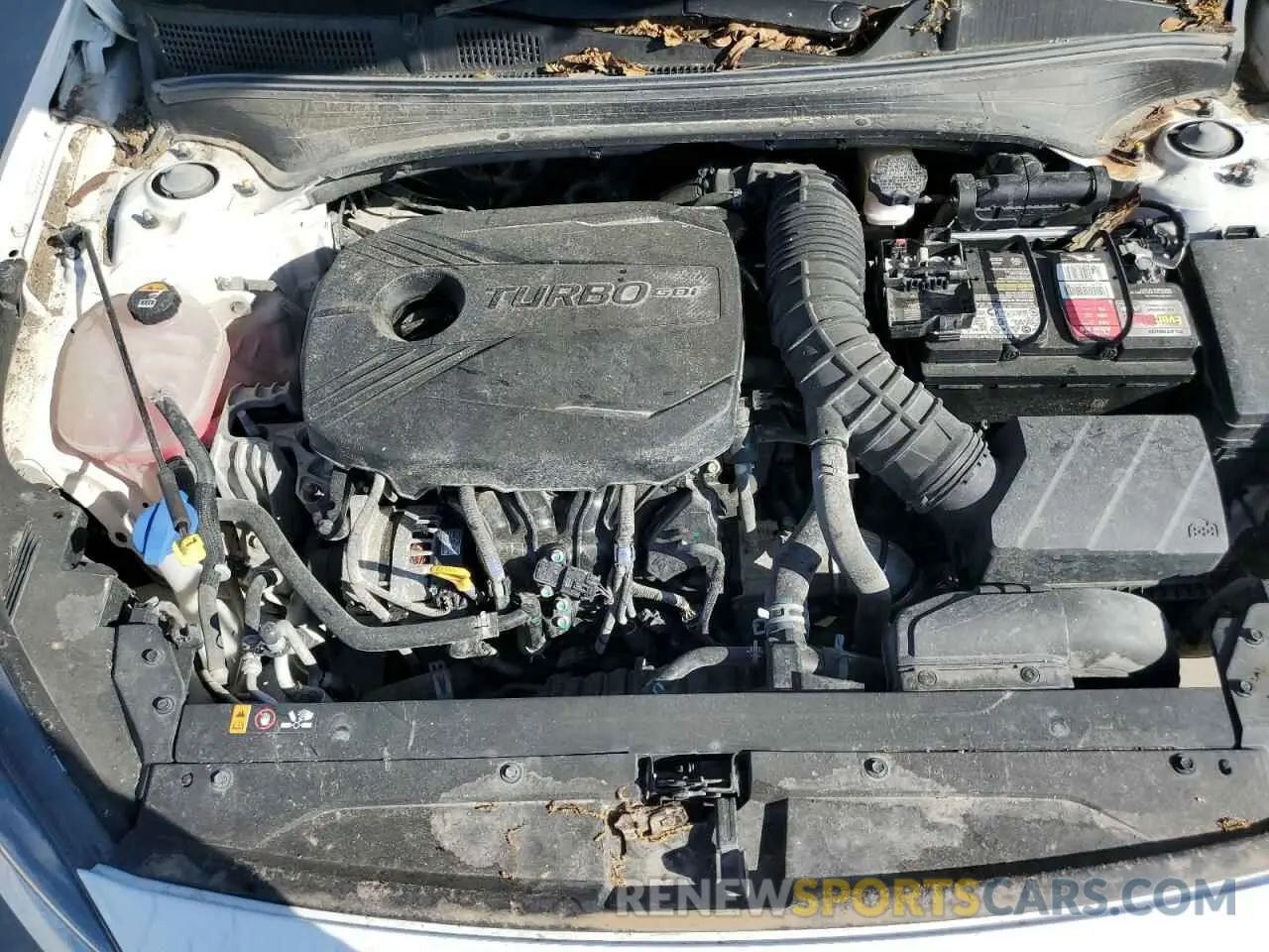 11 Photograph of a damaged car 3KPF44AC5PE539861 KIA FORTE 2023