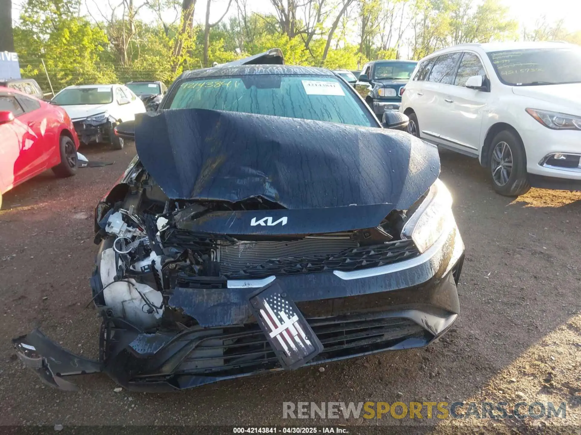 12 Photograph of a damaged car 3KPF24AD3RE806092 KIA FORTE 2024