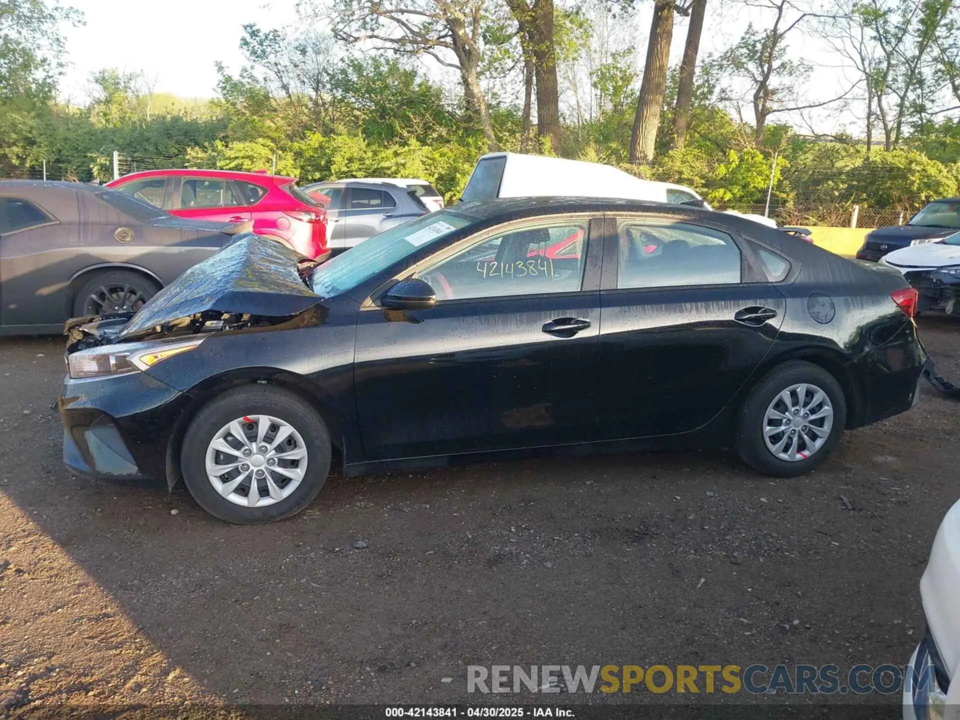 14 Photograph of a damaged car 3KPF24AD3RE806092 KIA FORTE 2024