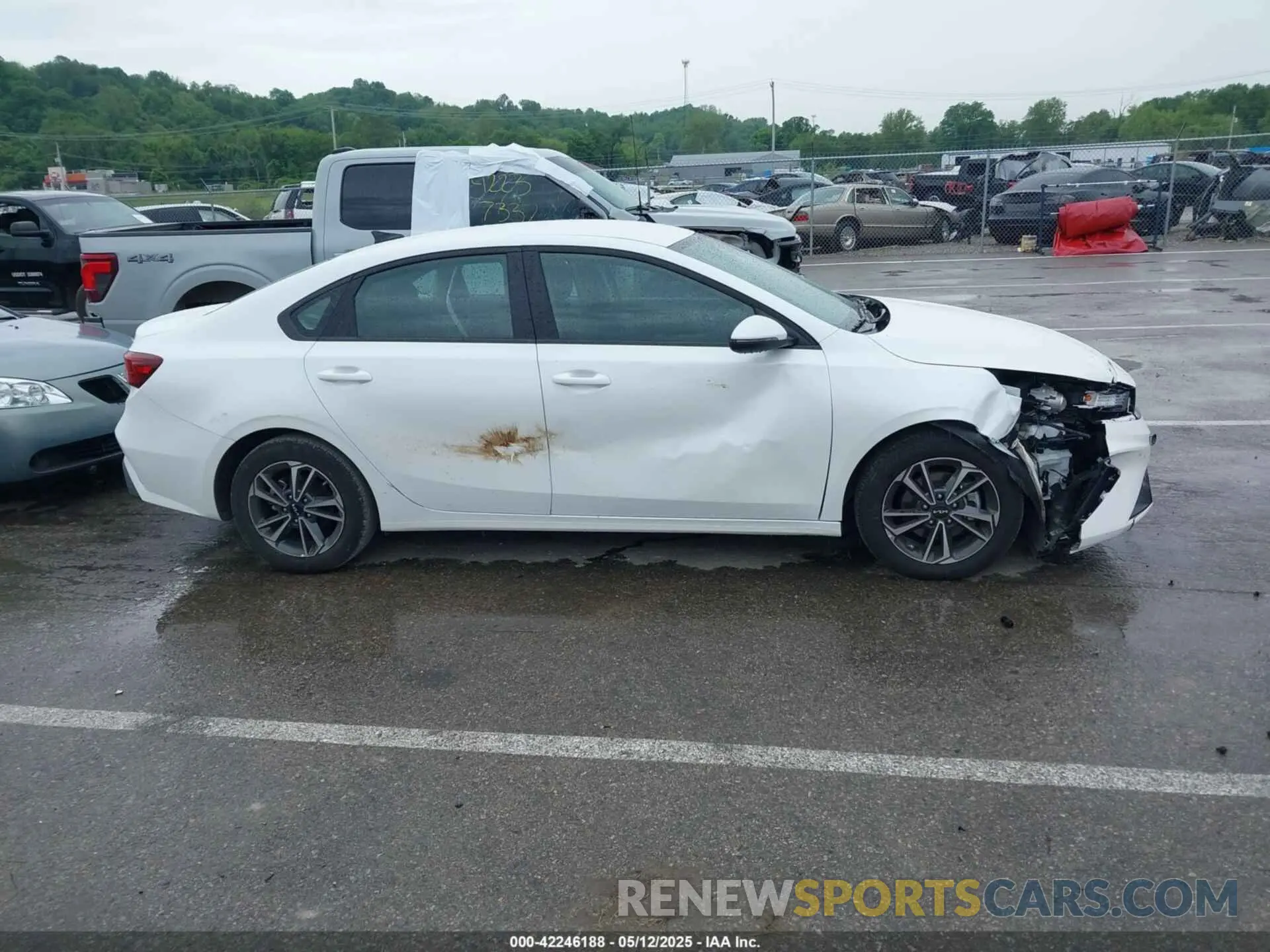 13 Photograph of a damaged car 3KPF24AD5RE738460 KIA FORTE 2024