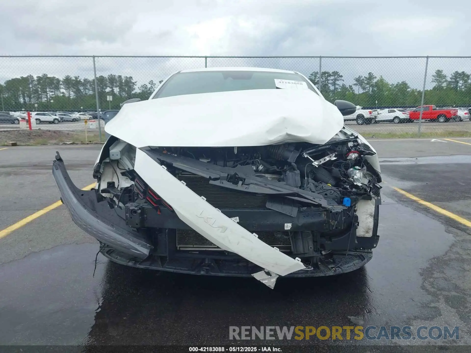 6 Photograph of a damaged car 3KPF54AD2RE800601 KIA FORTE 2024