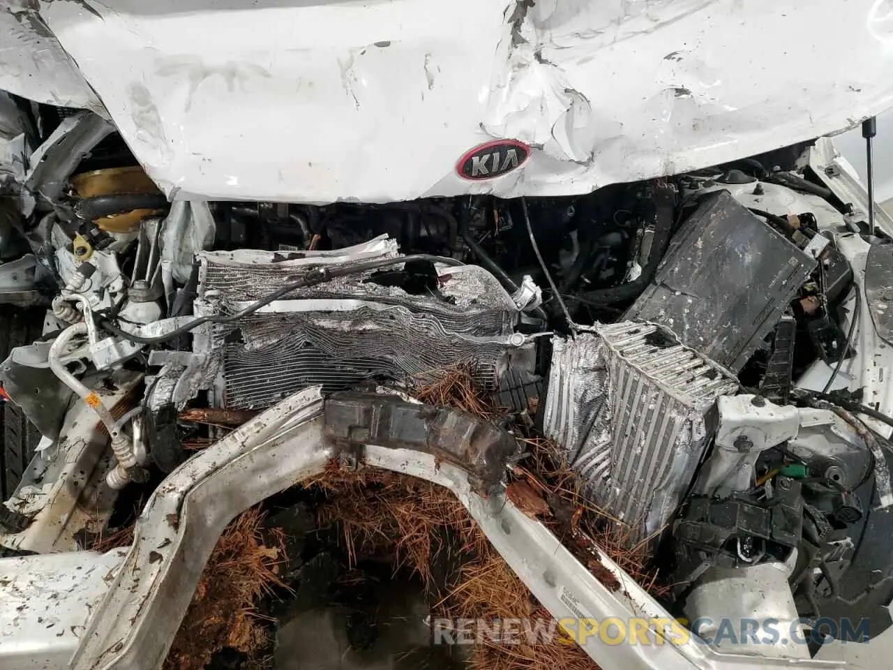 11 Photograph of a damaged car 5XXG14J23MG044968 KIA K5 2021