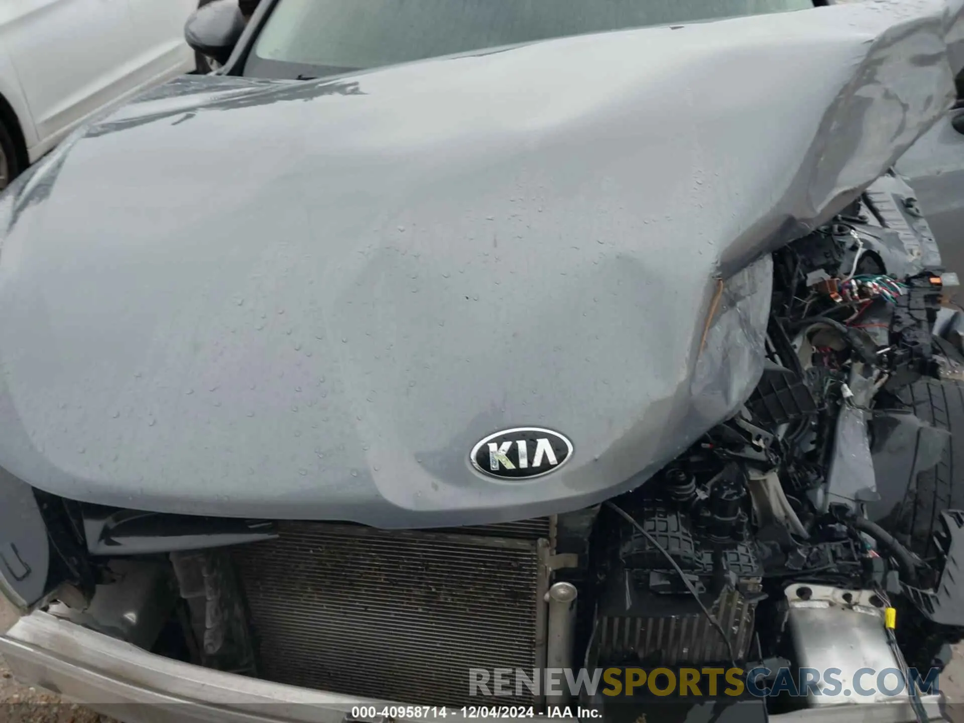 10 Photograph of a damaged car 5XXG14J24MG064856 KIA K5 2021