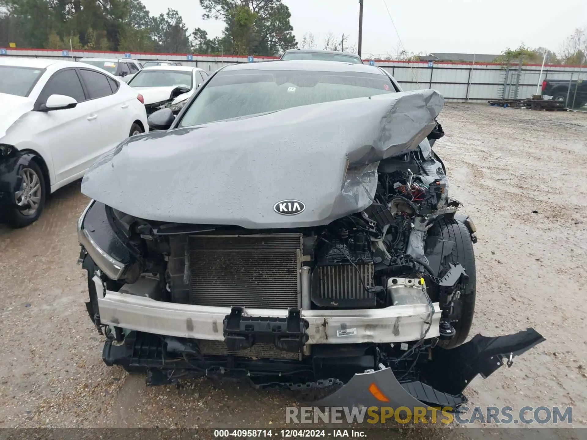 12 Photograph of a damaged car 5XXG14J24MG064856 KIA K5 2021