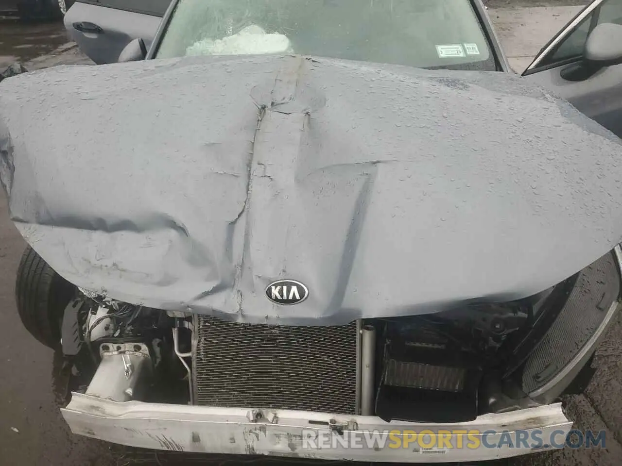12 Photograph of a damaged car 5XXG14J29MG057661 KIA K5 2021