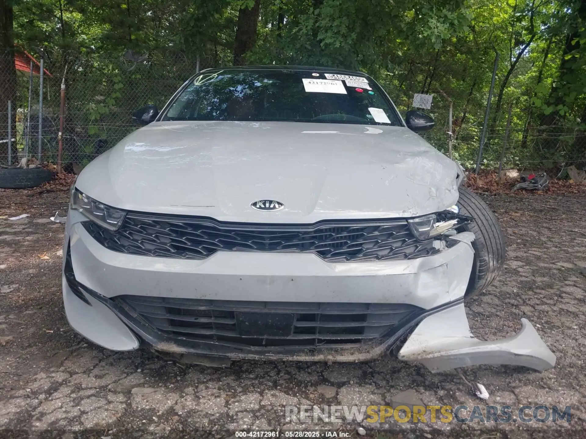 12 Photograph of a damaged car 5XXG64J27MG017595 KIA K5 2021