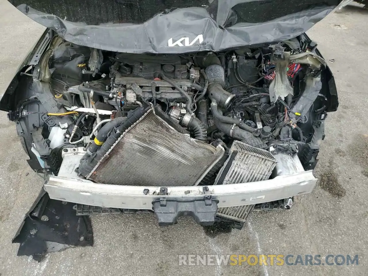 11 Photograph of a damaged car 5XXG14J23NG087322 KIA K5 2022