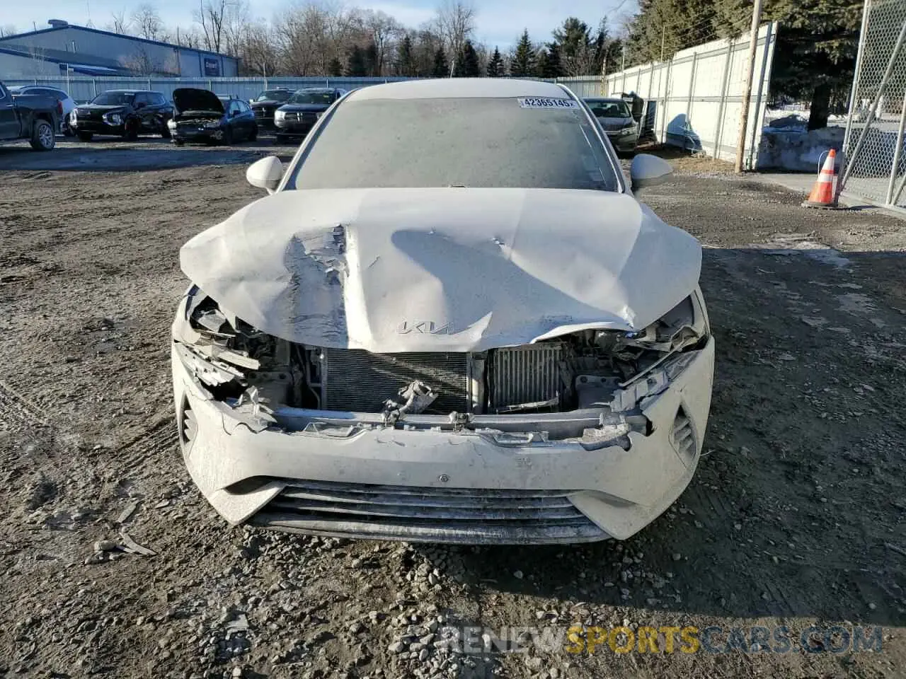 5 Photograph of a damaged car 5XXG14J23NG122019 KIA K5 2022