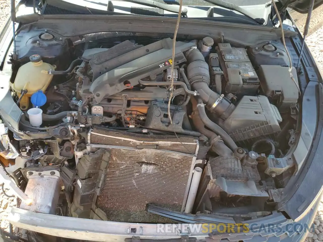11 Photograph of a damaged car 5XXG14J25NG120398 KIA K5 2022