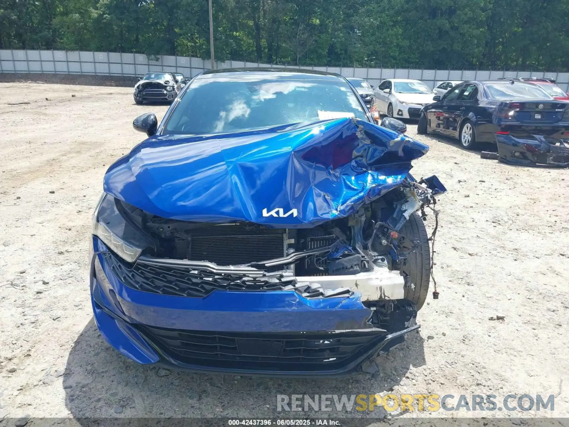 12 Photograph of a damaged car 5XXG64J20PG210921 KIA K5 2023