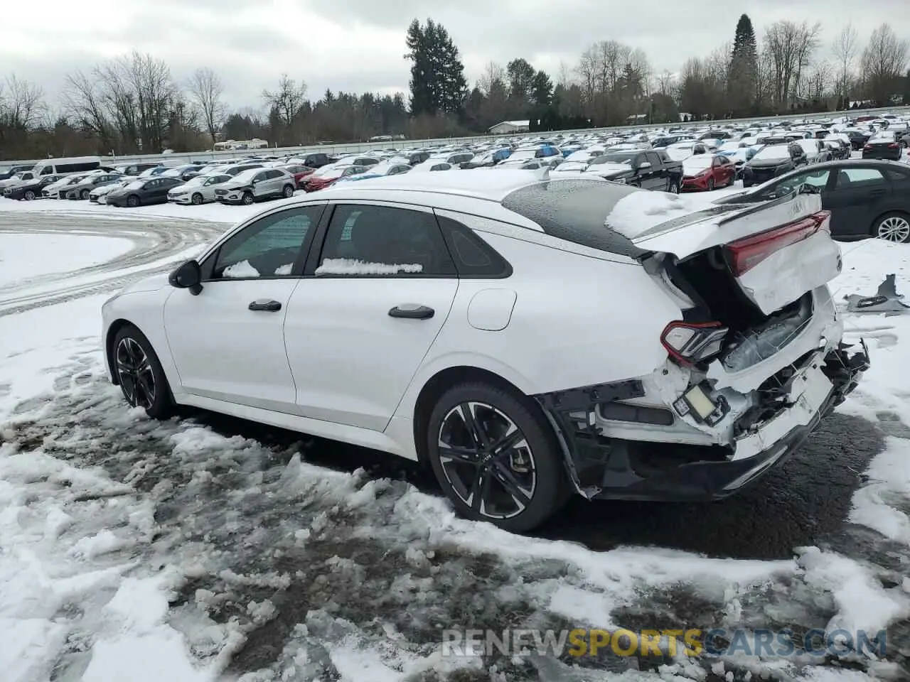 2 Photograph of a damaged car 5XXG64J22PG210824 KIA K5 2023