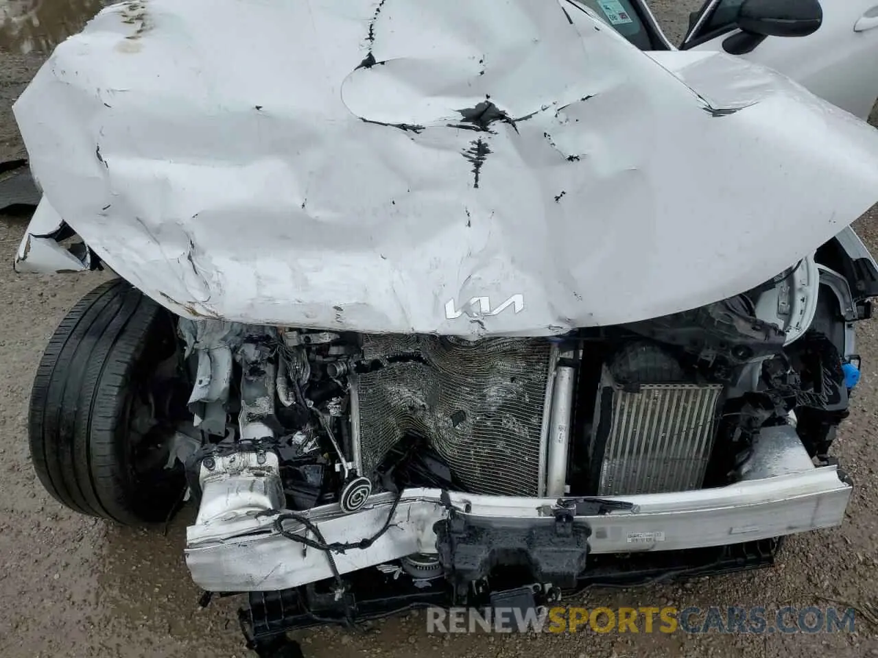 12 Photograph of a damaged car 5XXG64J20RG240827 KIA K5 2024