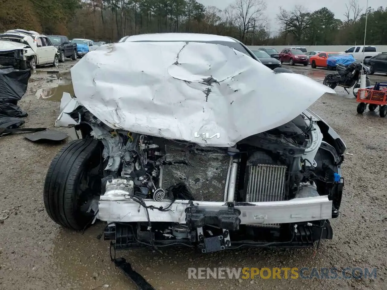 5 Photograph of a damaged car 5XXG64J20RG240827 KIA K5 2024