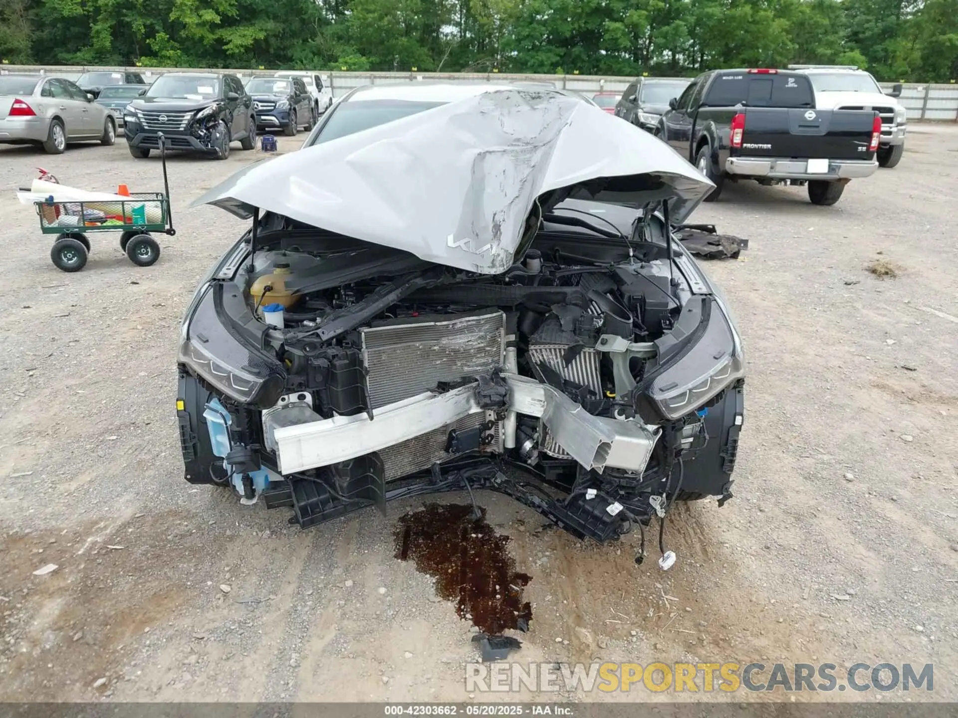 6 Photograph of a damaged car 5XXG64J23RG241521 KIA K5 2024
