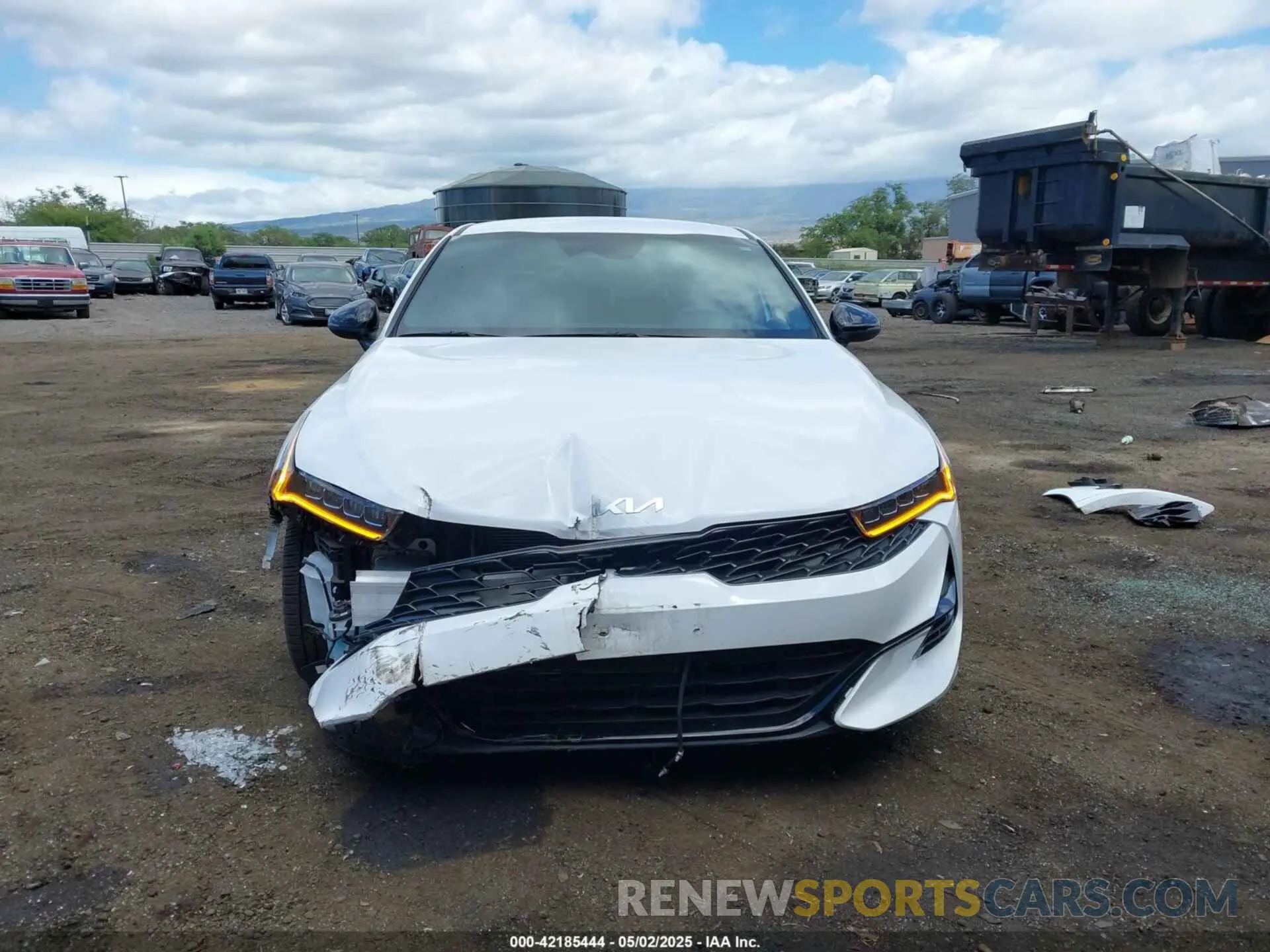 13 Photograph of a damaged car 5XXG64J24RG253452 KIA K5 2024