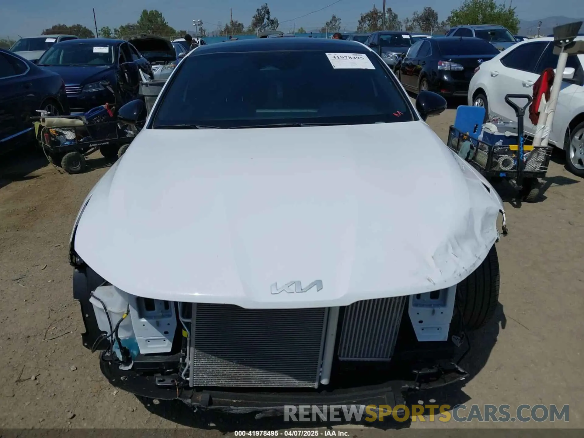 13 Photograph of a damaged car 5XXG64J25RG265447 KIA K5 2024