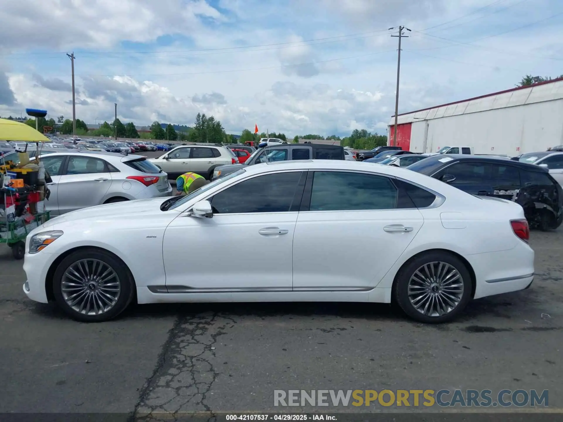 14 Photograph of a damaged car KNAS34J66K6010426 KIA K900 2019