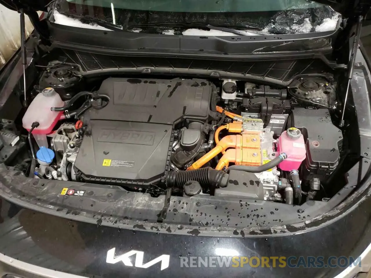 12 Photograph of a damaged car KNDCP3LE7P5116617 KIA NIRO 2023