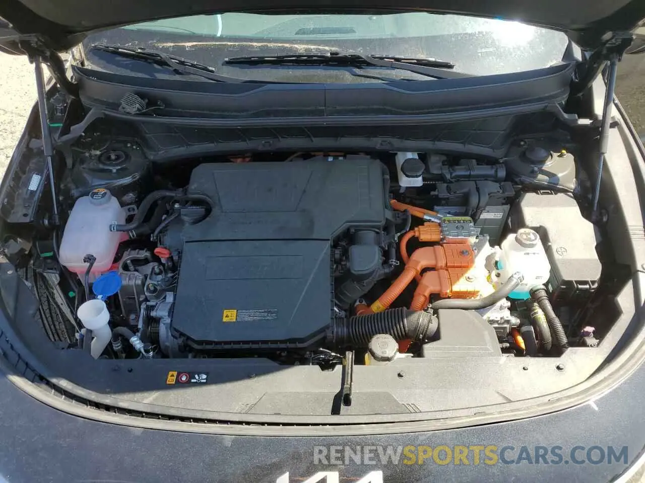 12 Photograph of a damaged car KNDCS3LF8R5138345 KIA NIRO 2024
