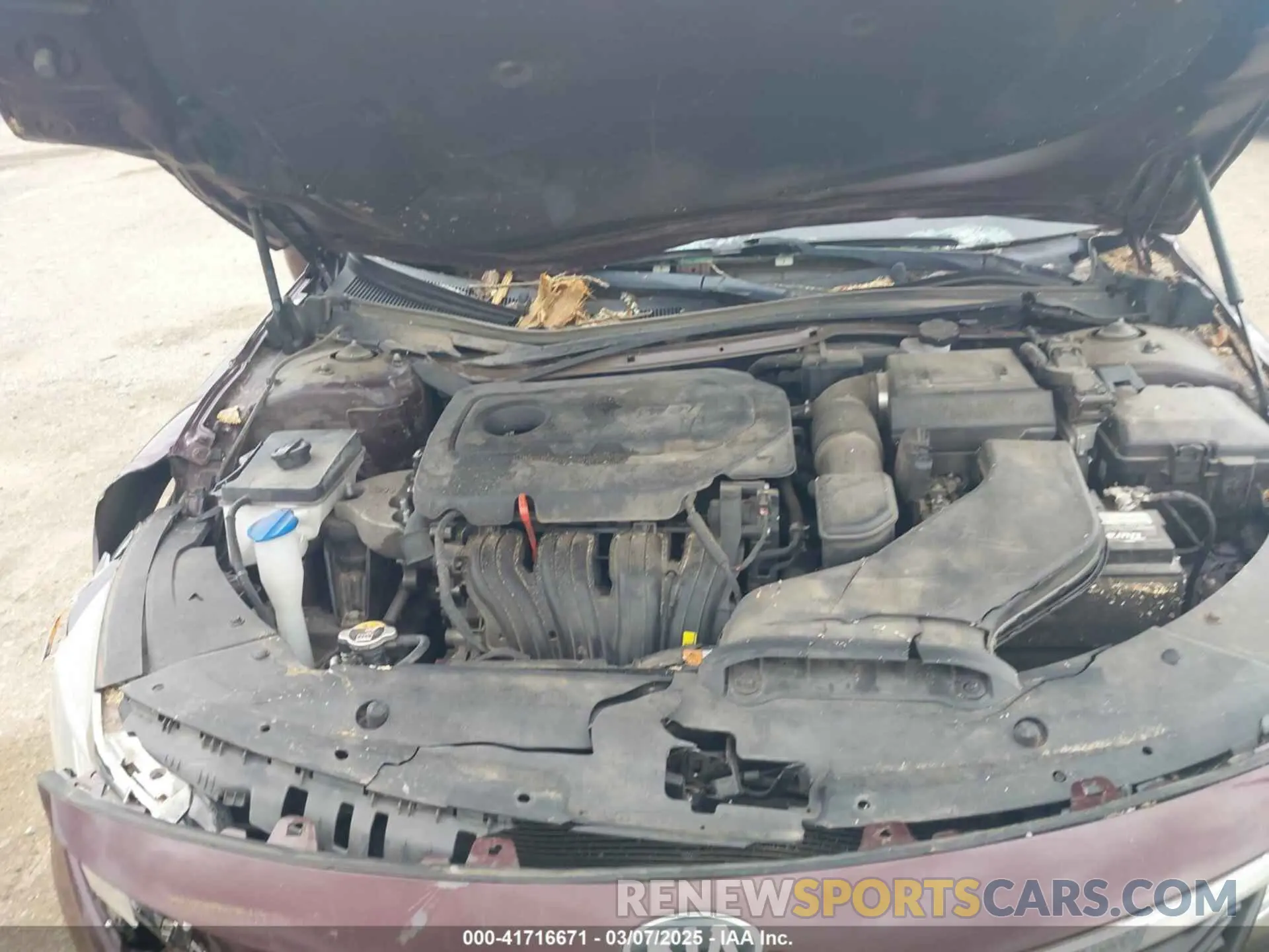 10 Photograph of a damaged car 5XXGT4L33KG346967 KIA OPTIMA 2019