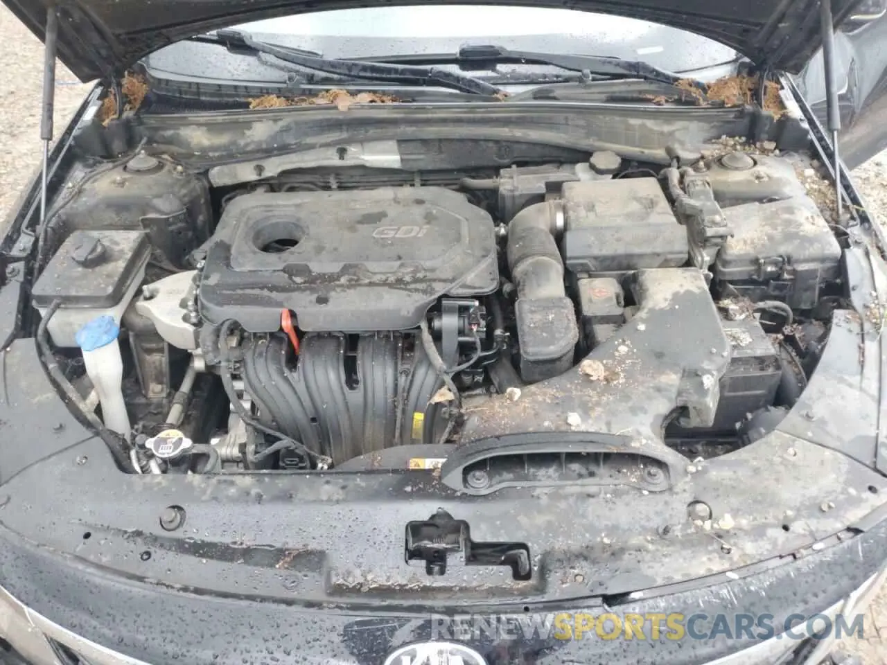 11 Photograph of a damaged car 5XXGT4L35KG286979 KIA OPTIMA 2019