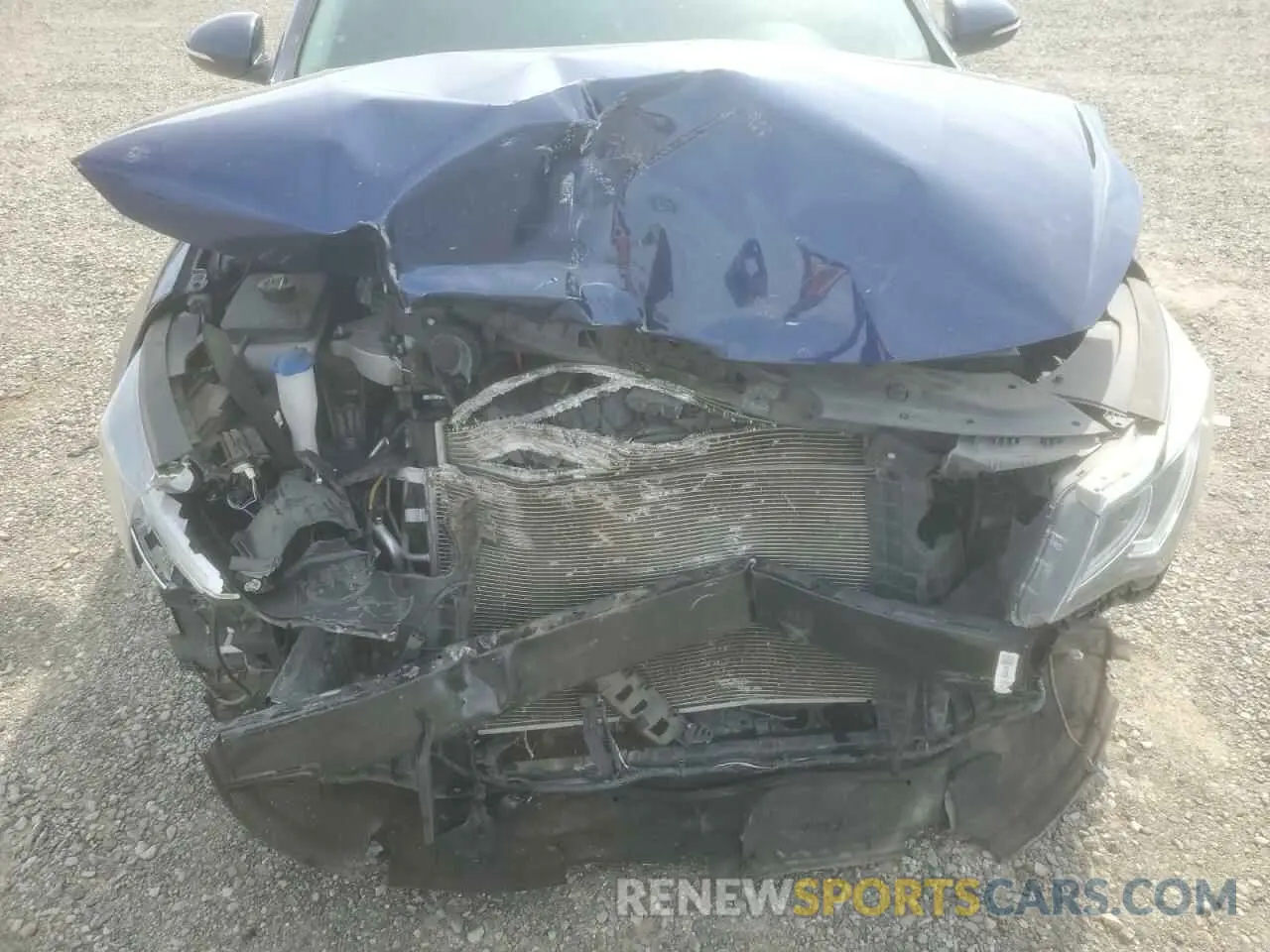 13 Photograph of a damaged car 5XXGT4L35KG353807 KIA OPTIMA 2019
