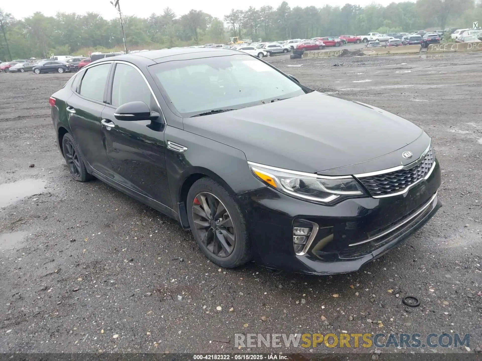 1 Photograph of a damaged car 5XXGT4L37KG333431 KIA OPTIMA 2019