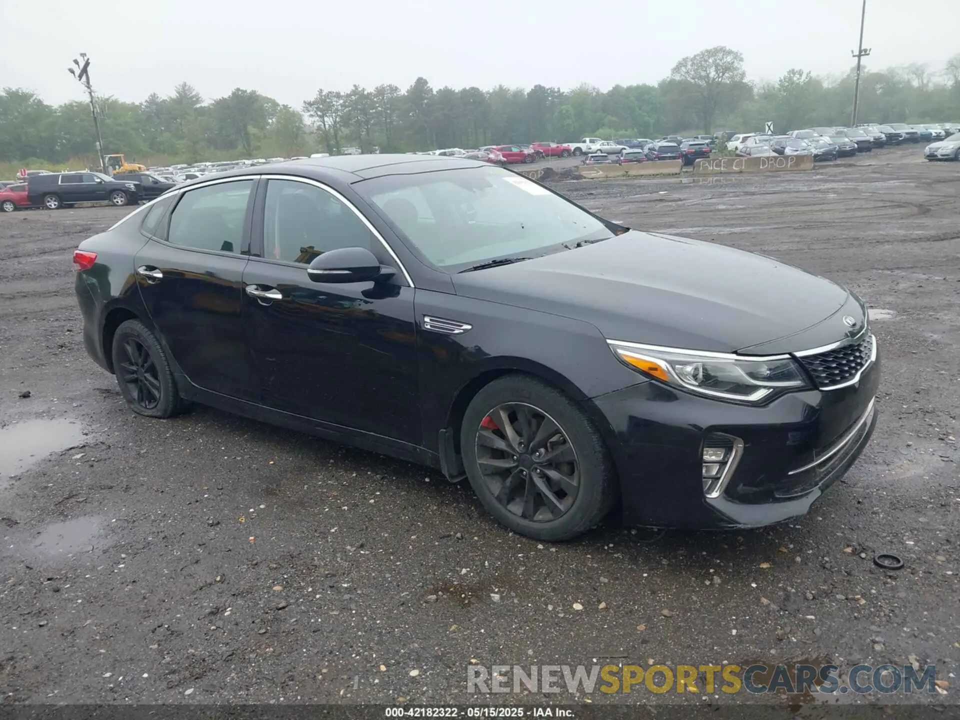 13 Photograph of a damaged car 5XXGT4L37KG333431 KIA OPTIMA 2019