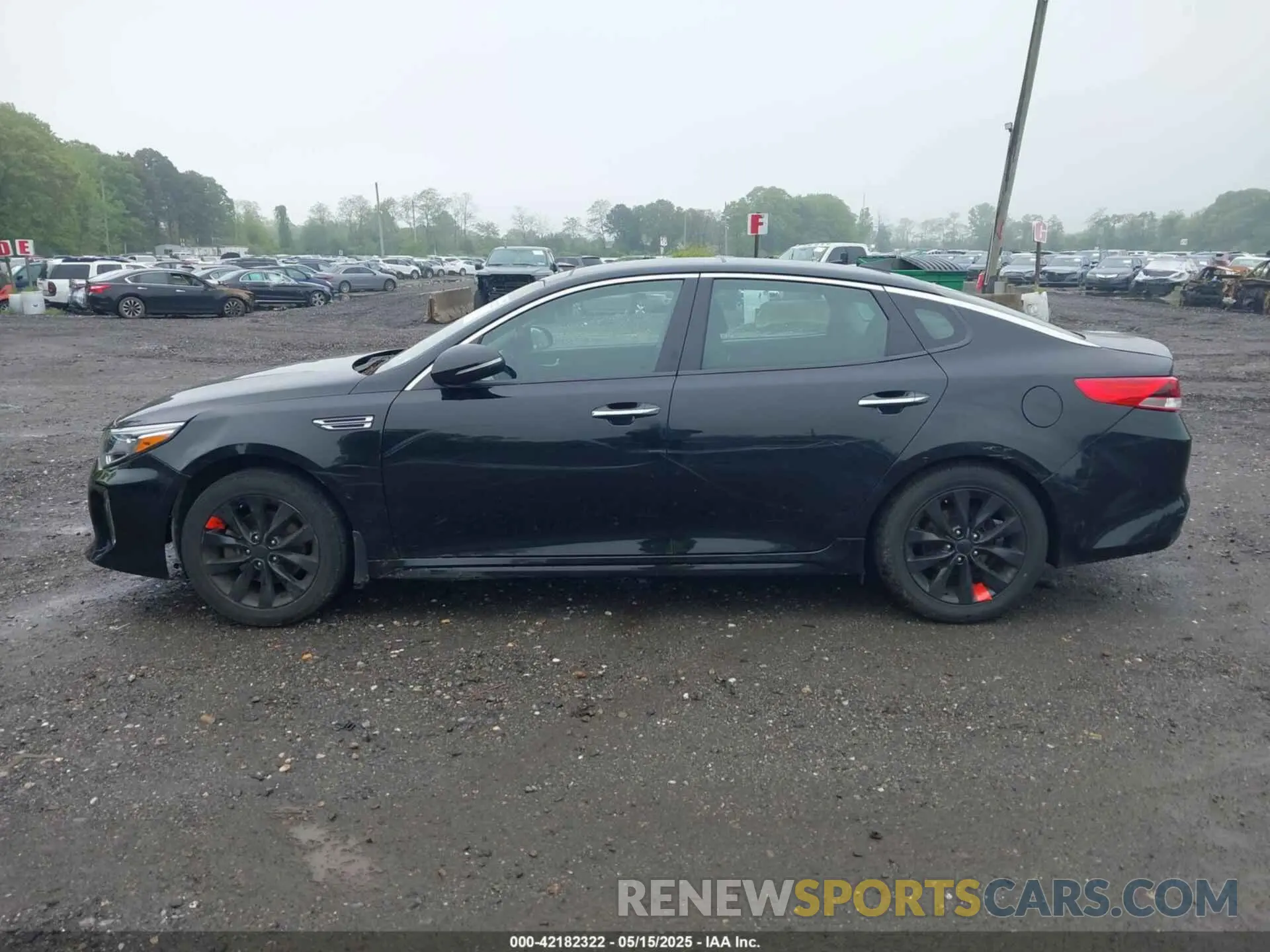 14 Photograph of a damaged car 5XXGT4L37KG333431 KIA OPTIMA 2019
