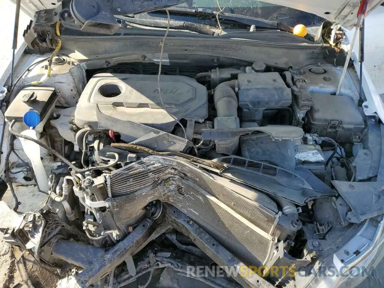 12 Photograph of a damaged car 5XXGT4L38KG281551 KIA OPTIMA 2019