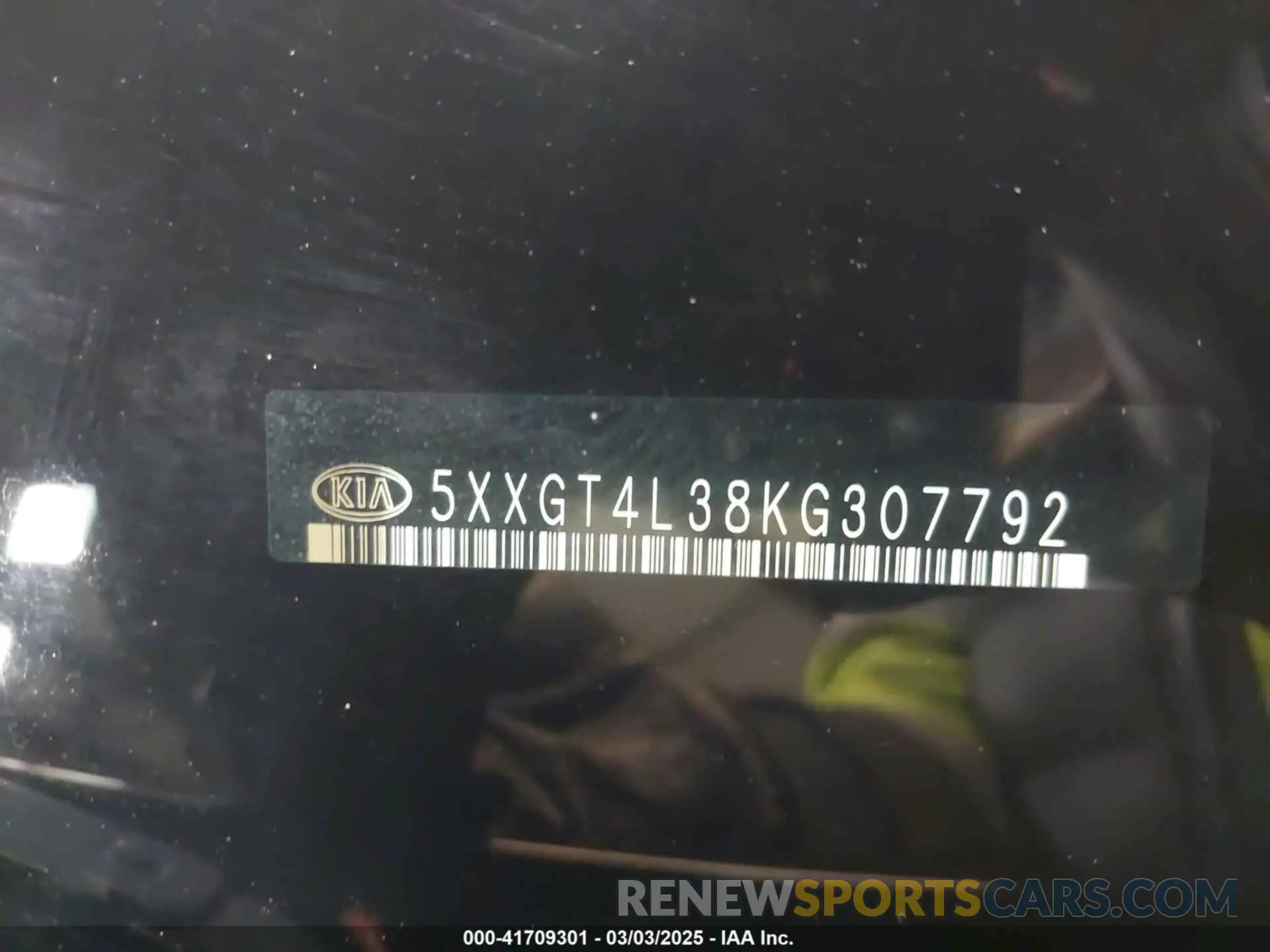 19 Photograph of a damaged car 5XXGT4L38KG307792 KIA OPTIMA 2019