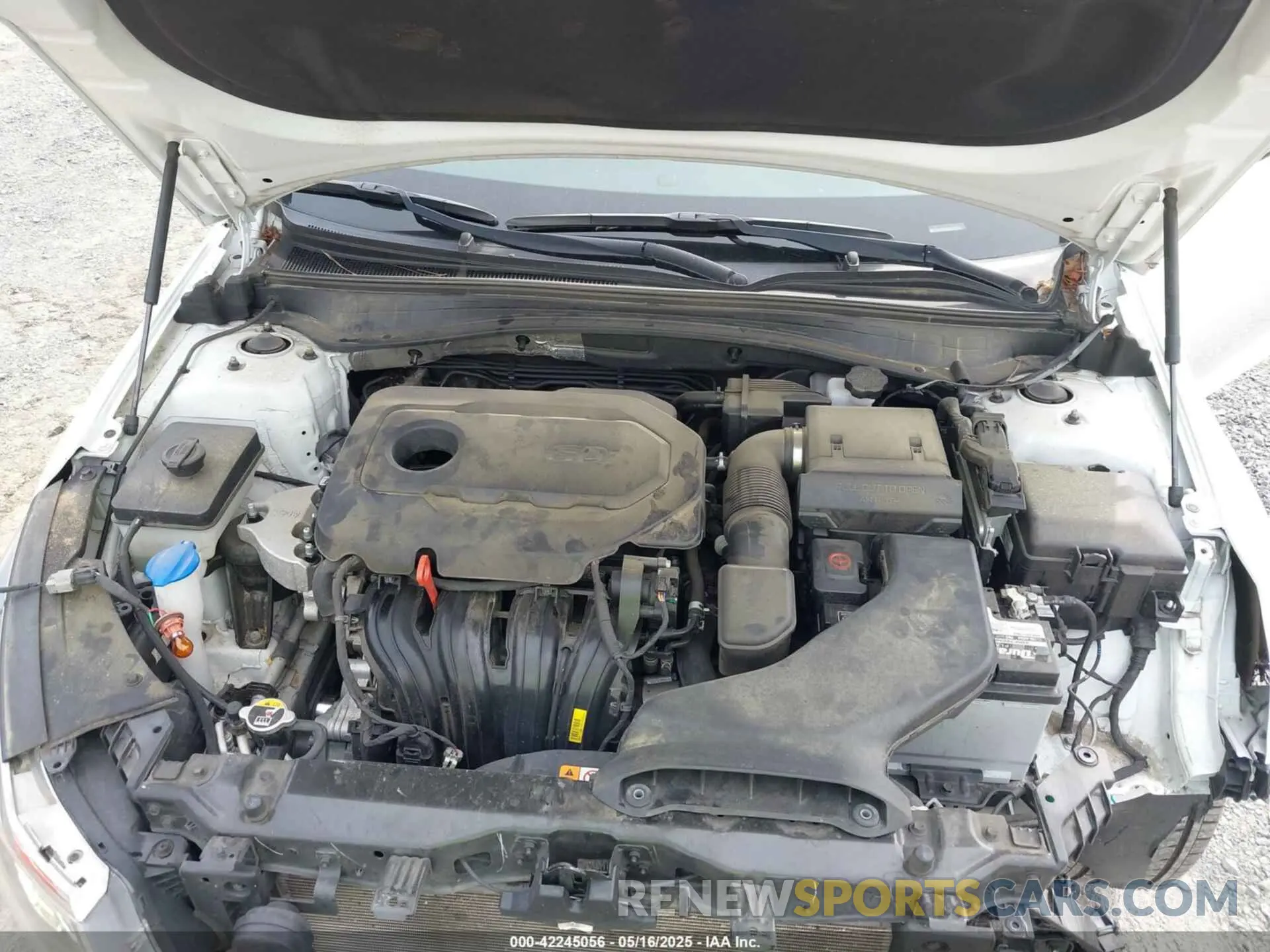 10 Photograph of a damaged car 5XXGT4L3XKG294267 KIA OPTIMA 2019