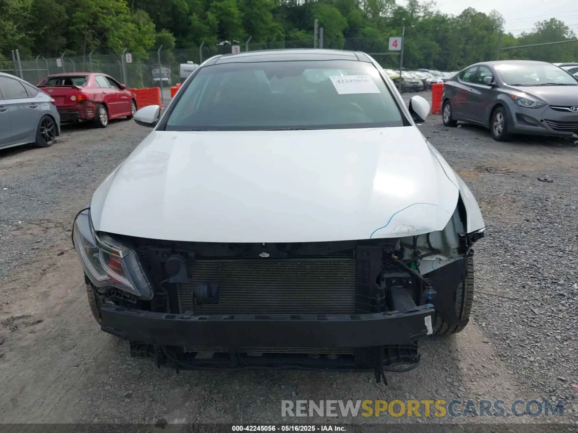 12 Photograph of a damaged car 5XXGT4L3XKG294267 KIA OPTIMA 2019