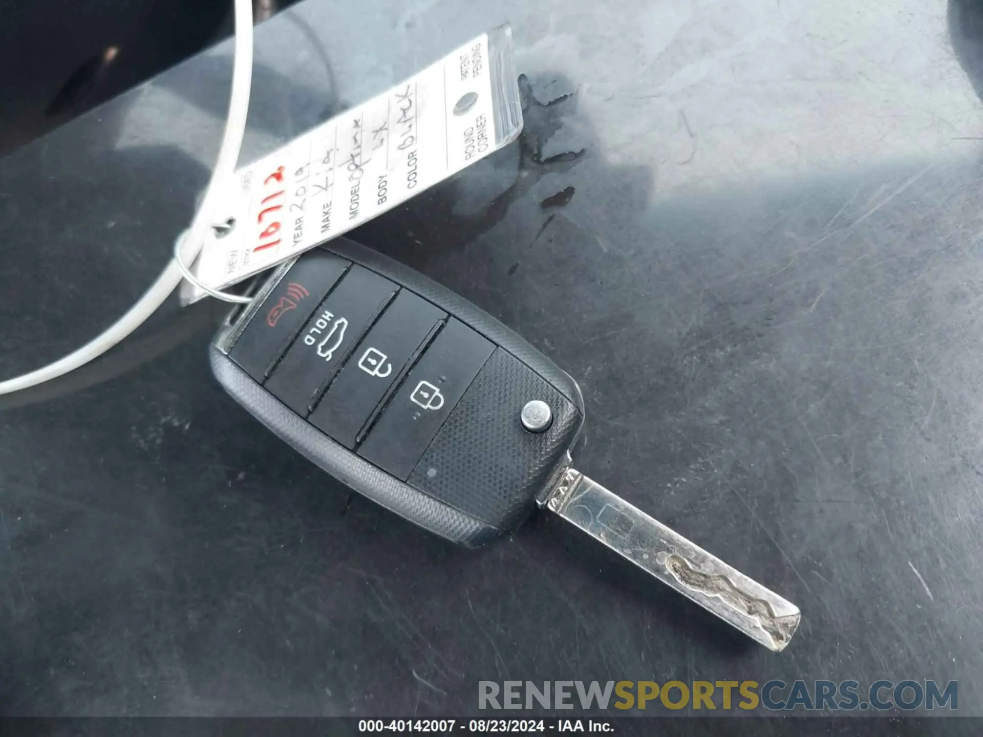 11 Photograph of a damaged car 5XXGT4L3XKG318051 KIA OPTIMA 2019