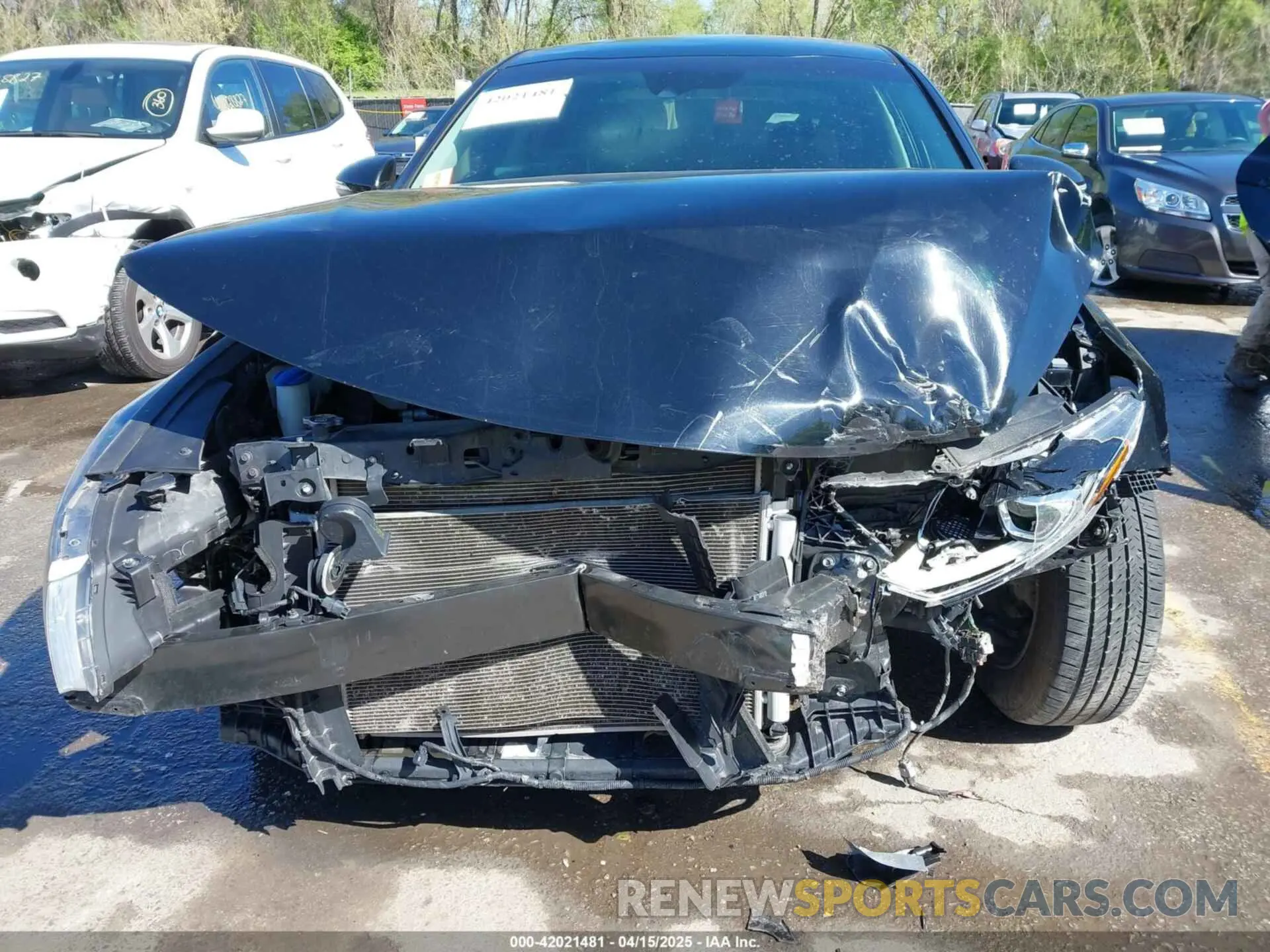 6 Photograph of a damaged car 5XXGT4L3XKG335125 KIA OPTIMA 2019