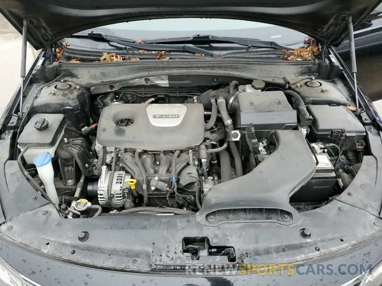 11 Photograph of a damaged car 5XXGU4L10KG304073 KIA OPTIMA 2019