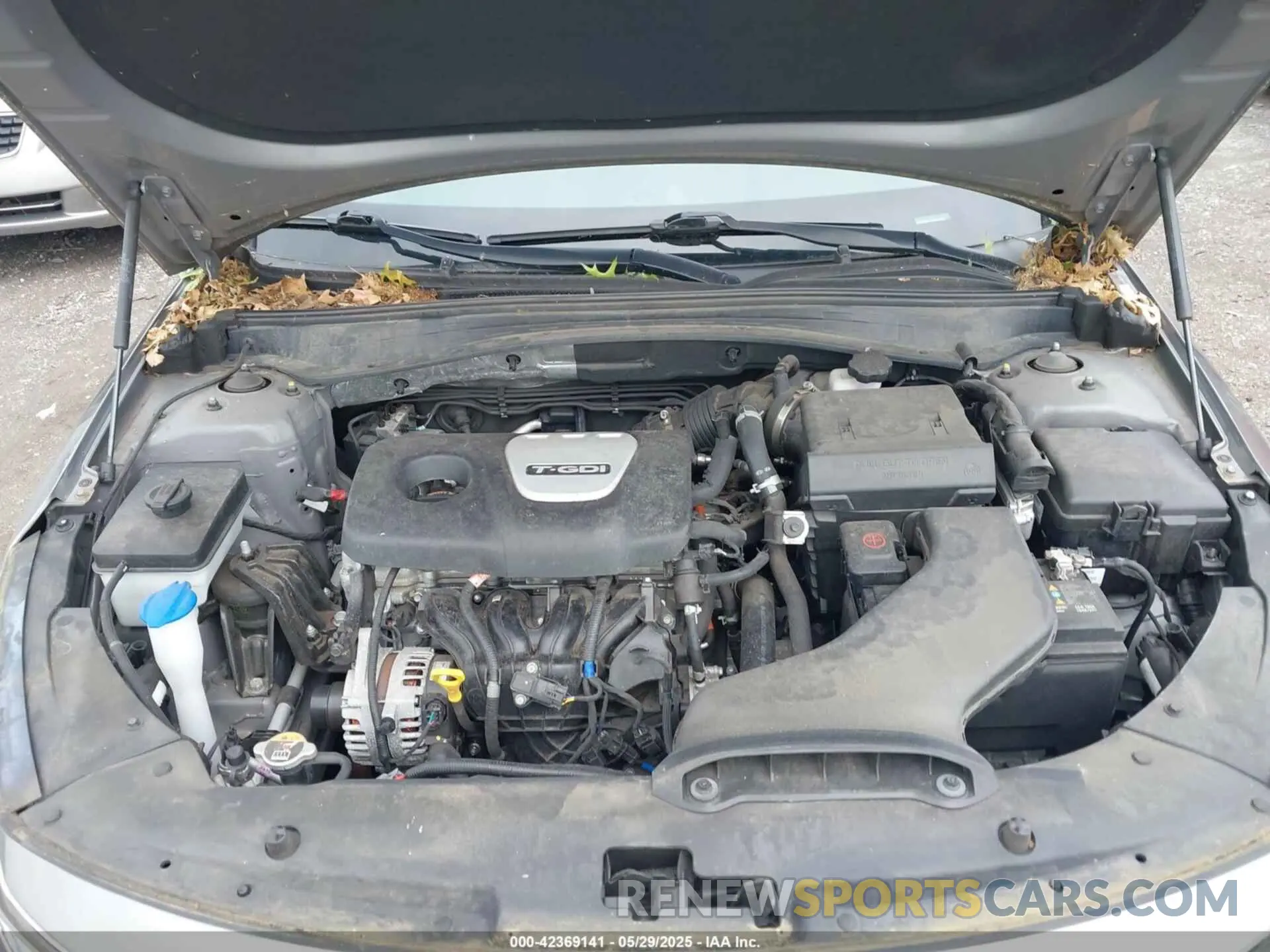 10 Photograph of a damaged car 5XXGU4L13KG286099 KIA OPTIMA 2019