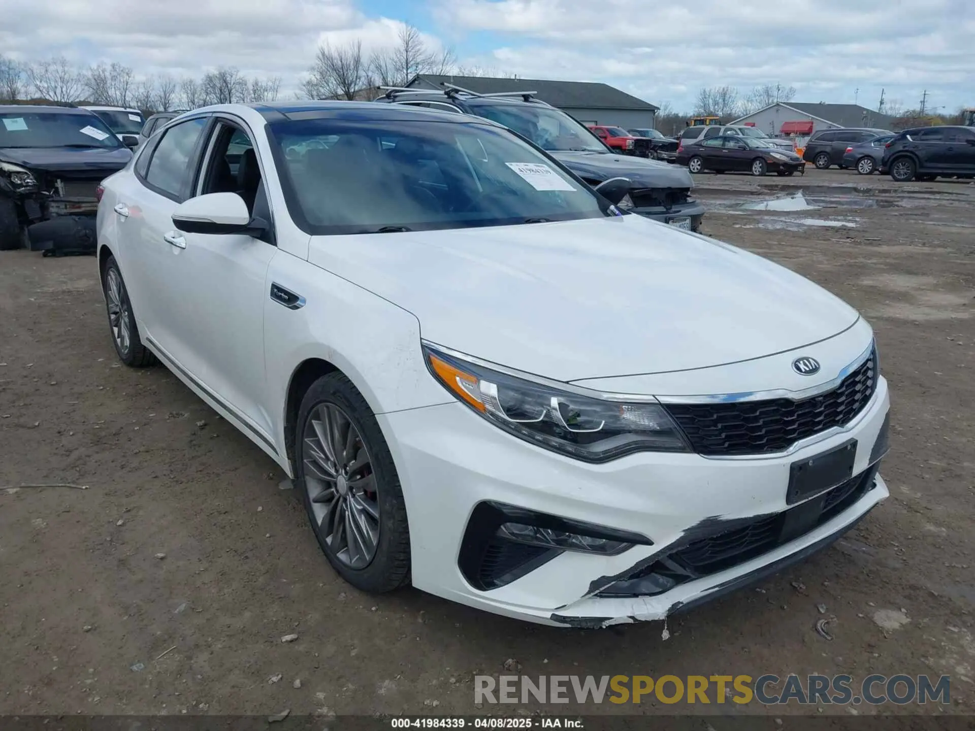 1 Photograph of a damaged car 5XXGV4L20KG310302 KIA OPTIMA 2019