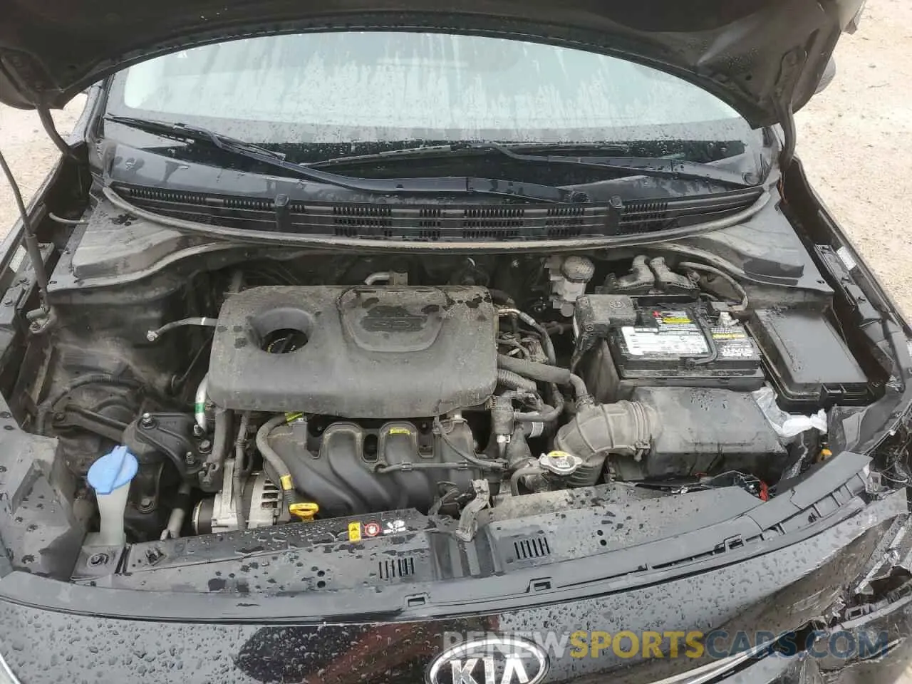 11 Photograph of a damaged car 3KPA24AB7KE223135 KIA RIO 2019