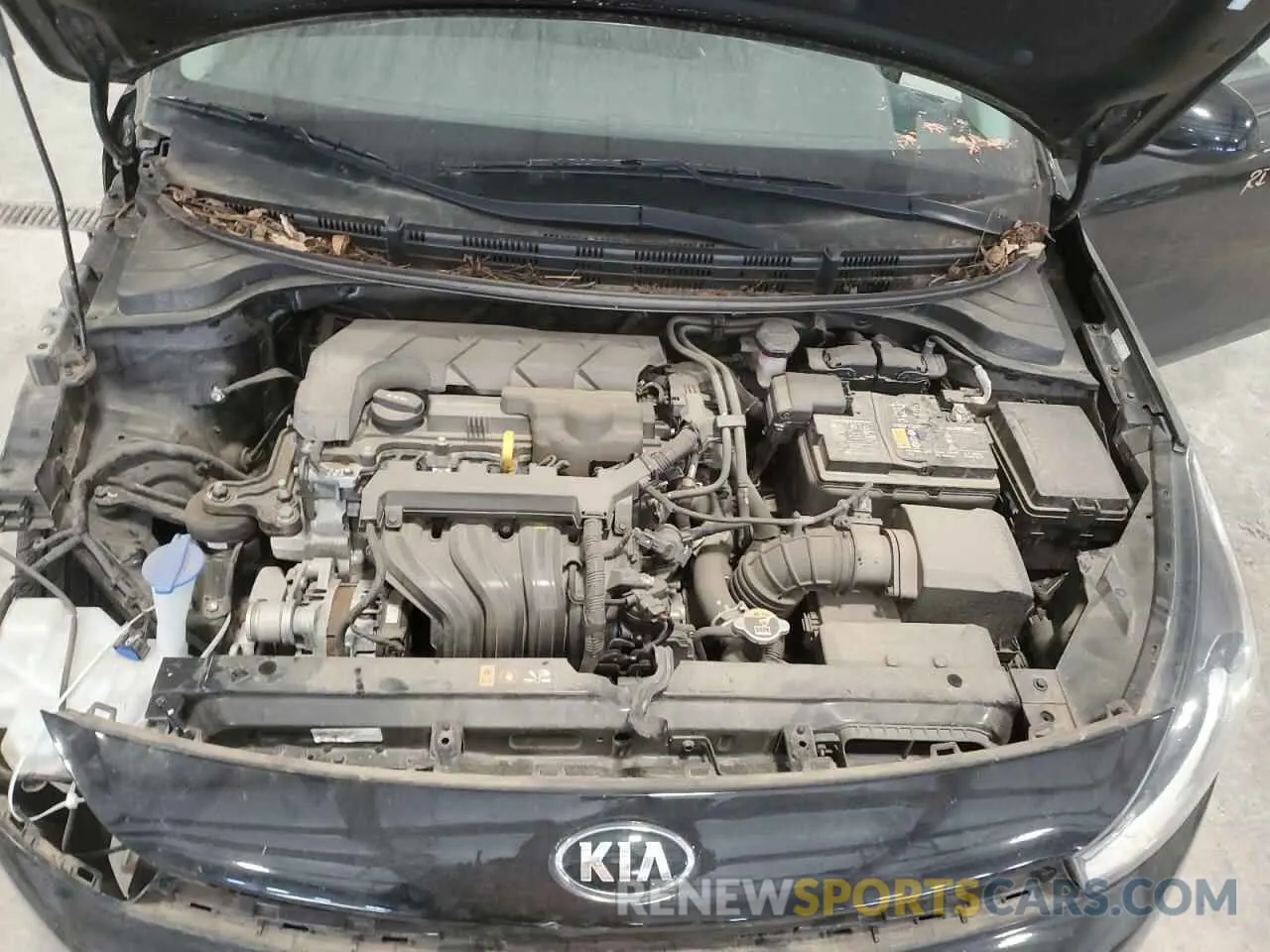 11 Photograph of a damaged car 3KPA24AD9ME394604 KIA RIO 2021