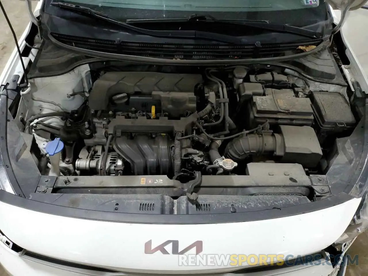 11 Photograph of a damaged car 3KPA24AD1NE431839 KIA RIO 2022