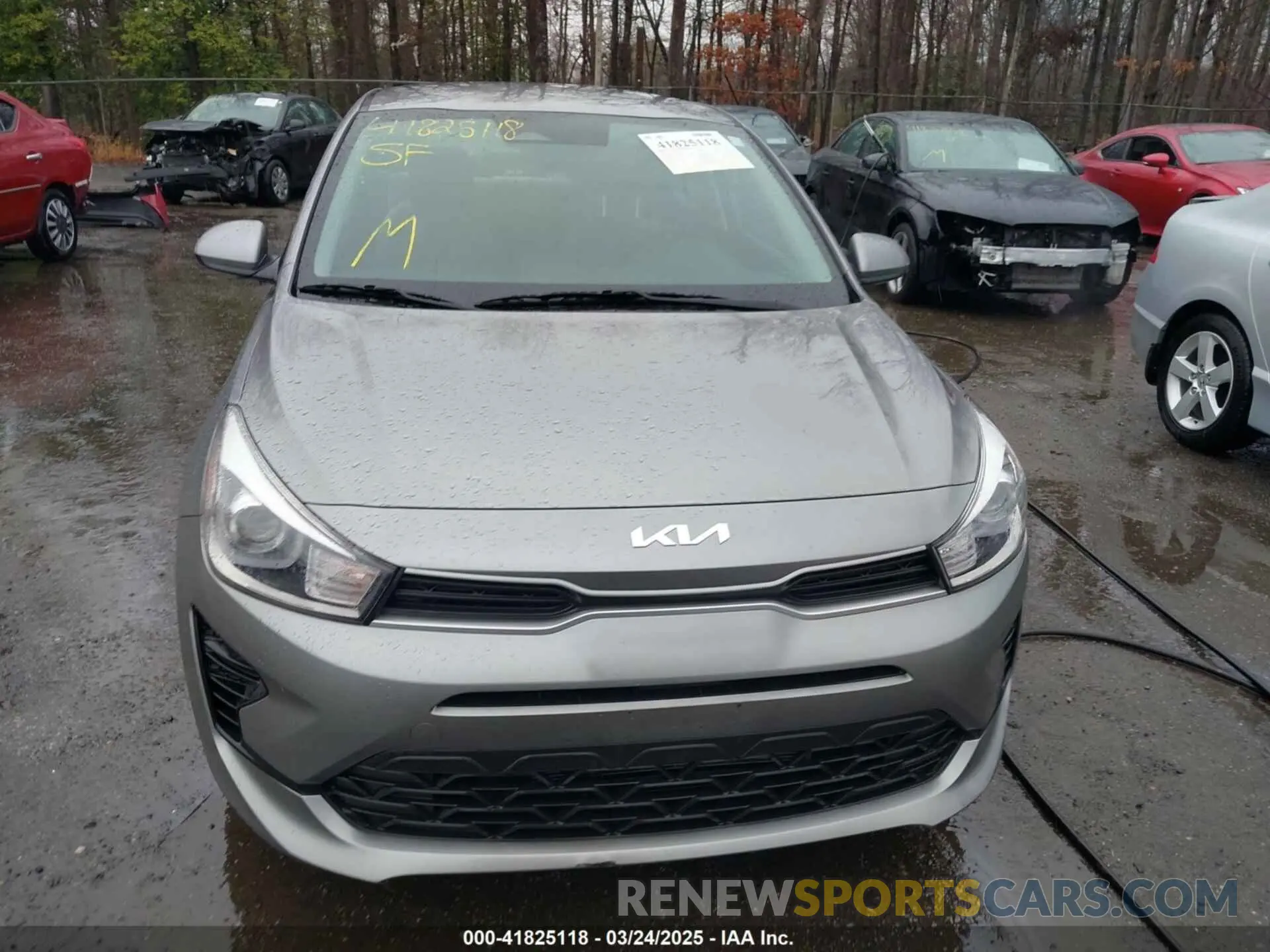 12 Photograph of a damaged car 3KPA24AD5PE526049 KIA RIO 2023
