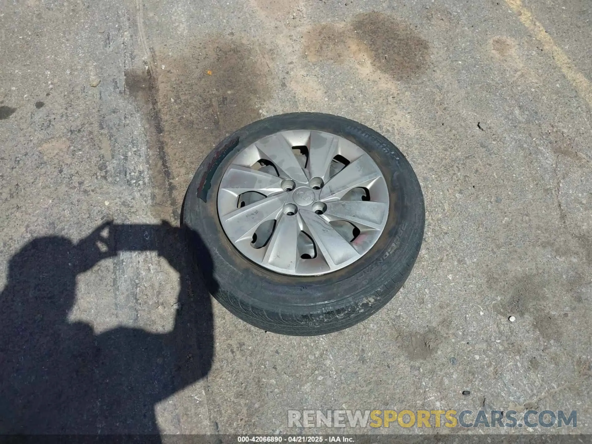 12 Photograph of a damaged car 3KPA25AB2KE210251 KIA RIO 5-DOOR 2019