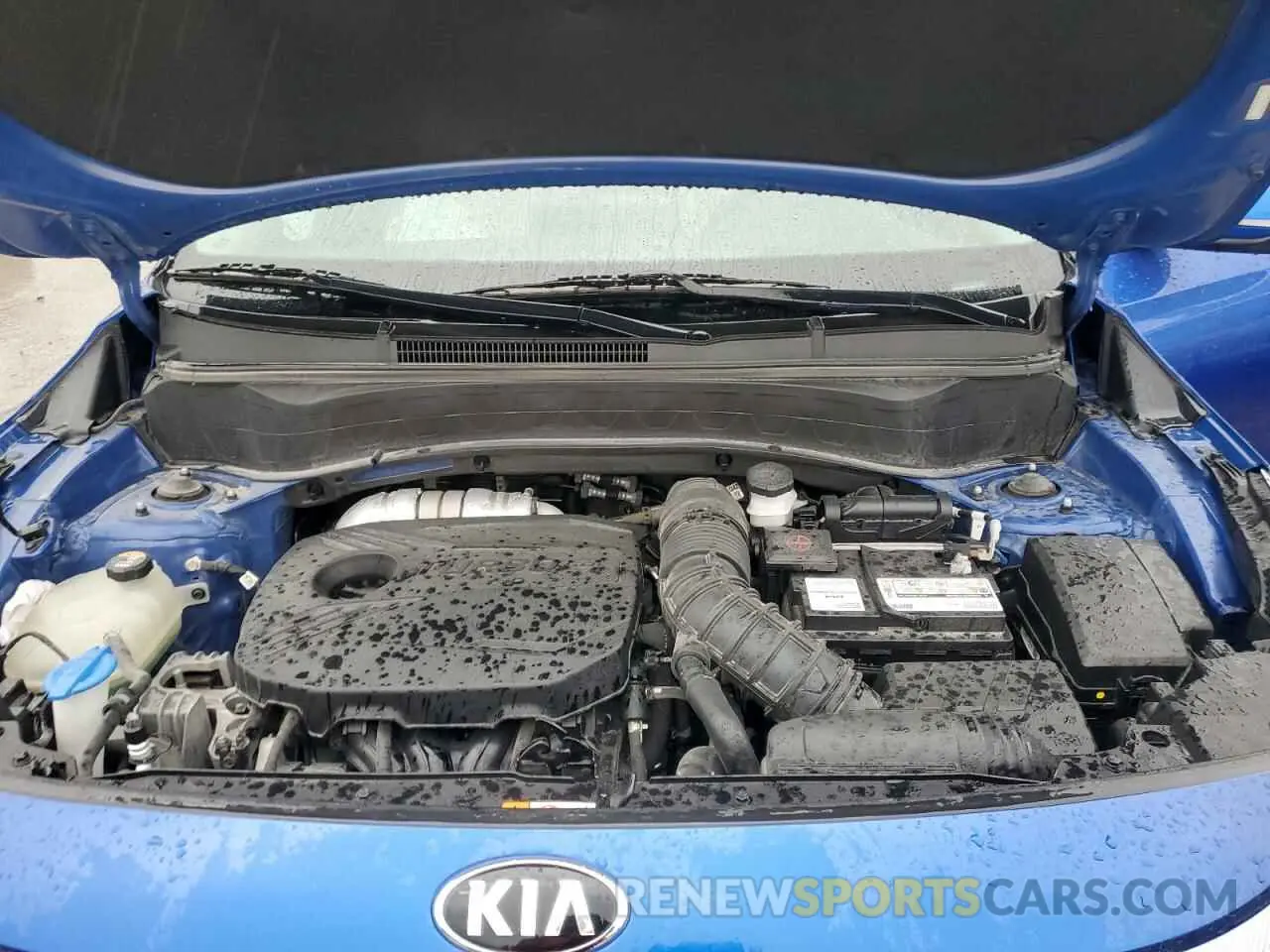 13 Photograph of a damaged car KNDETCA21M7111314 KIA SELTOS 2021