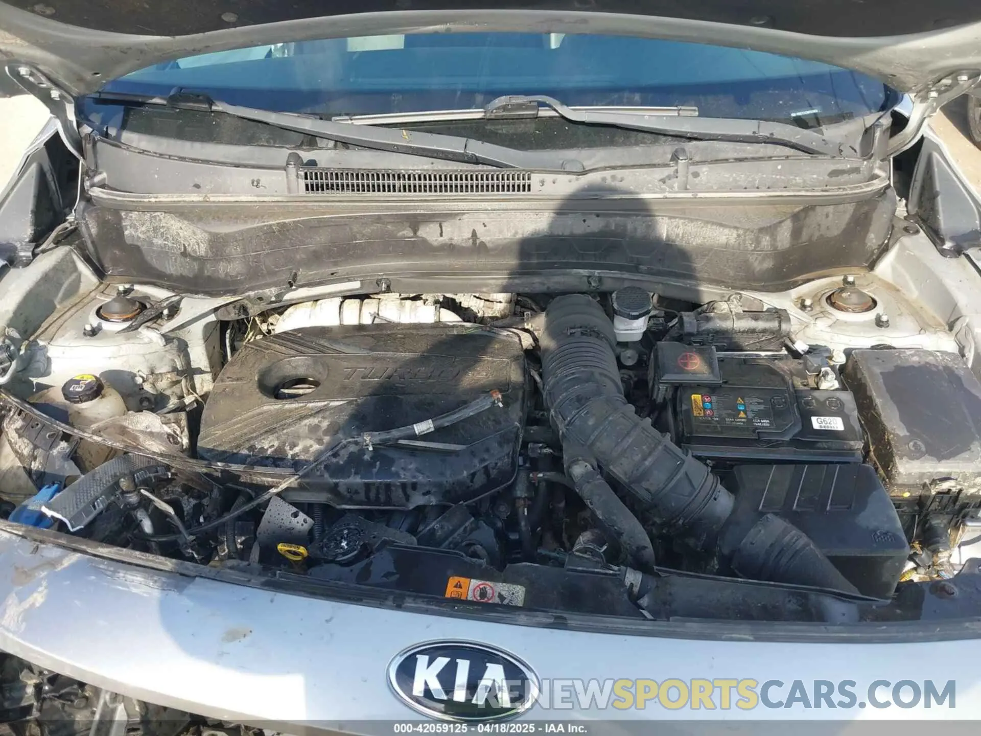 10 Photograph of a damaged car KNDETCA25M7073876 KIA SELTOS 2021