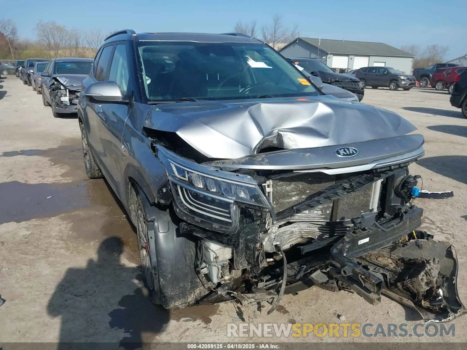 6 Photograph of a damaged car KNDETCA25M7073876 KIA SELTOS 2021