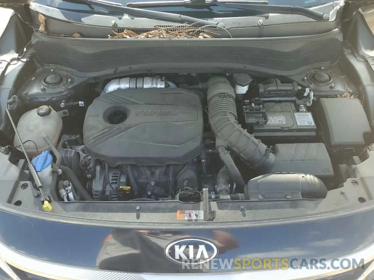 11 Photograph of a damaged car KNDETCA26M7140887 KIA SELTOS 2021